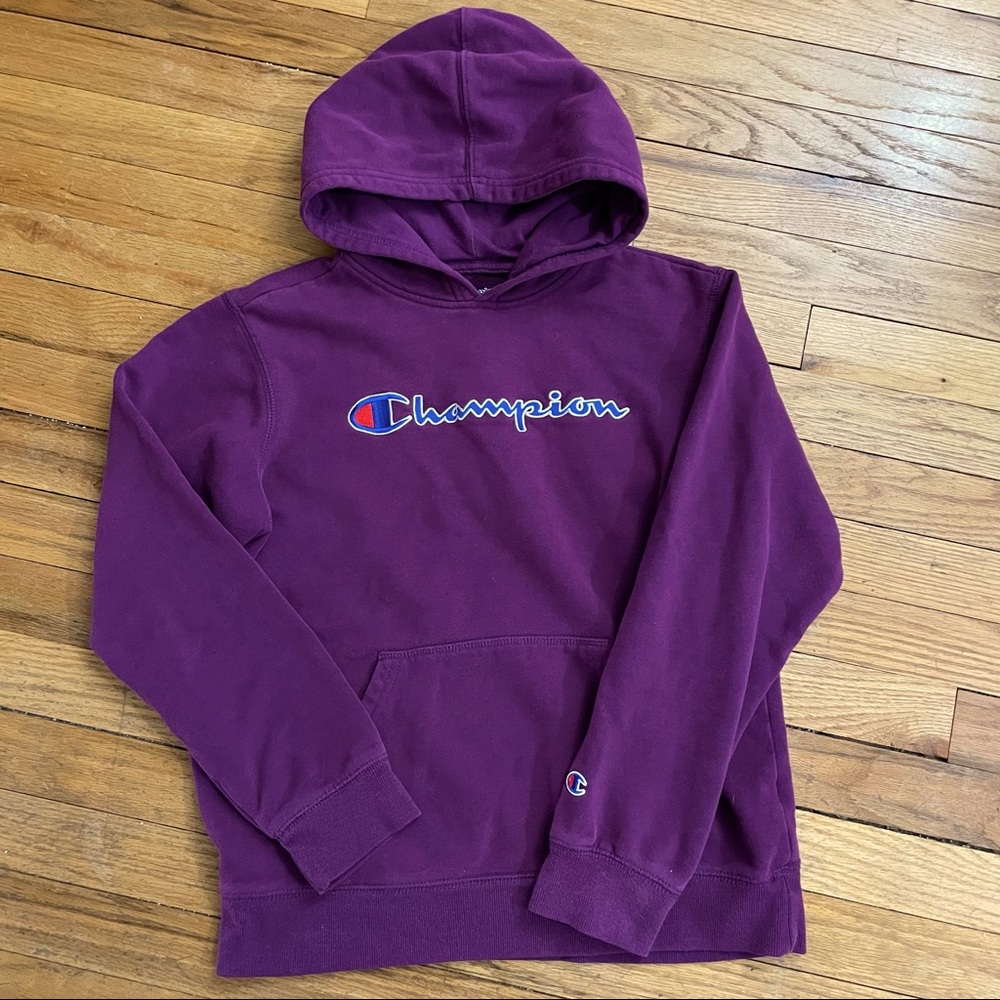 🎉4X HP🎉Girls Champion Hooded Sweatshirt